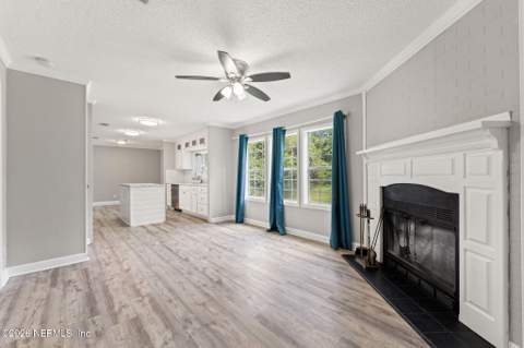 2405 Silver Moss Circle, Middleburg FL - photo 10 of 36
