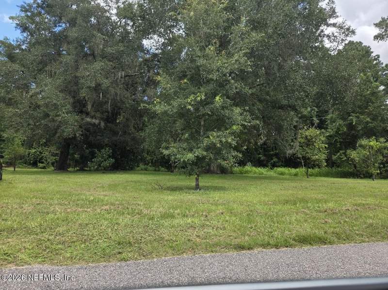 3 bedroom Single Family Residence at 850 Cooks Lane, Metes & Bounds, Green Cove Springs — photo 2