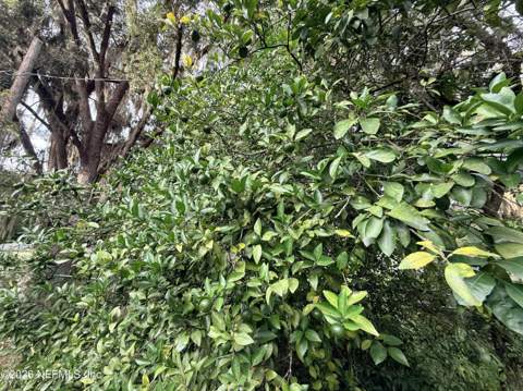 423 Holiday Drive, Interlachen FL - photo 19 of 20