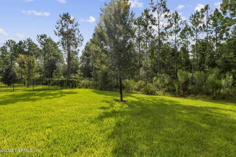 11398 Newtonian Boulevard, Jacksonville FL - photo 8 of 96