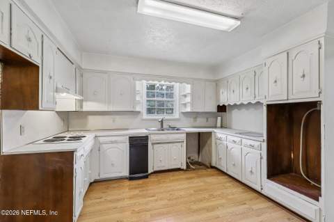 728 Tara Farms Drive, Middleburg FL - photo 13 of 50