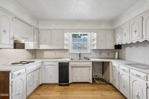 728 Tara Farms Drive, Middleburg FL - photo 14 of 50