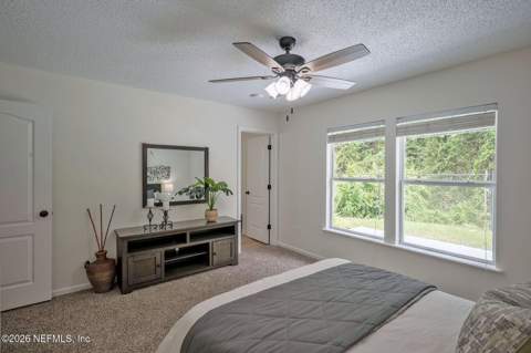 9769 Chirping Way, Jacksonville FL - photo 23 of 36
