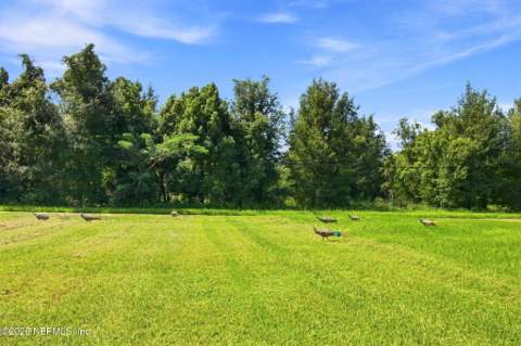 920 Read Avenue, Crescent City FL - photo 10 of 52