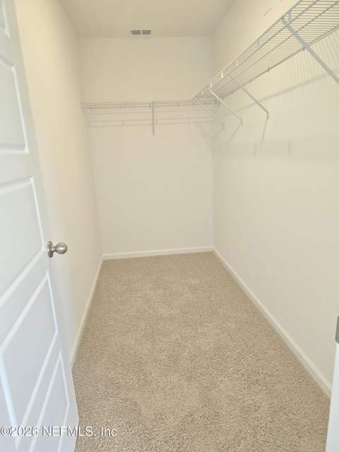 4123 Audubon Avenue, Green Cove Springs FL - photo 20 of 86