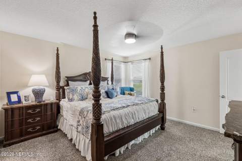 2458 Falling Star Lane, Green Cove Springs FL - photo 23 of 45