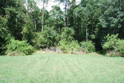 285 Carolina Jasmine Lane, Jacksonville FL - photo 7 of 29