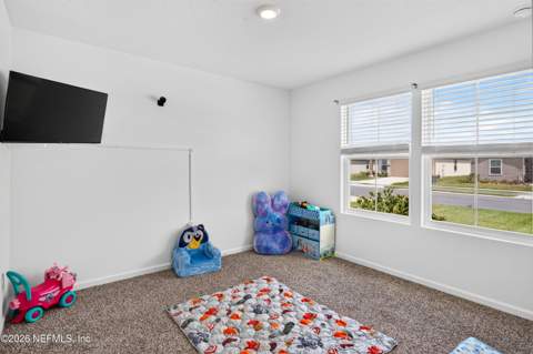 12926 RUBBER FIG Terrace, Jacksonville FL - photo 24 of 46
