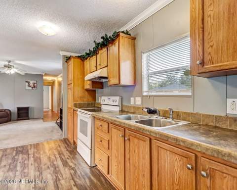 1628 Chestnut Bay Cove, Middleburg FL - photo 12 of 28