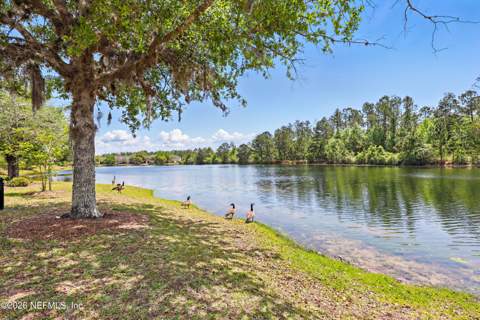 575 Oakleaf Plantation Parkway #901, Orange Park FL - photo 24 of 28