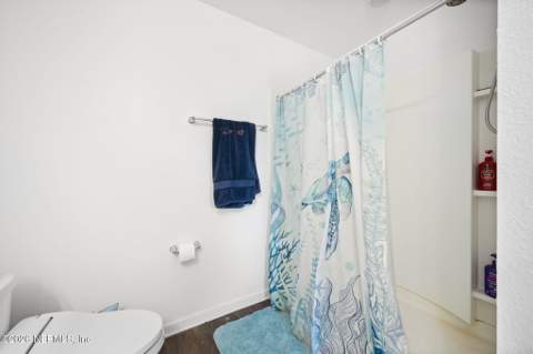 12718 Cacao Tree Trail, Jacksonville FL - photo 15 of 34