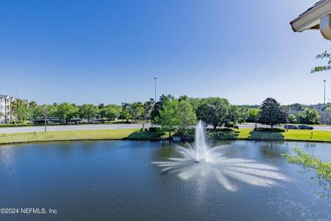 7800 Point Meadows Drive #Unit # 1232, Jacksonville FL - photo 24 of 33
