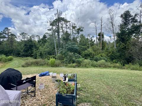 3024 Sheer Bliss Way, Orange Park FL - photo 24 of 24