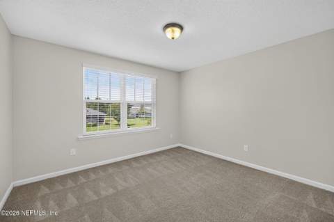 3136 Chestnut Ridge Way, Orange Park FL - photo 14 of 32