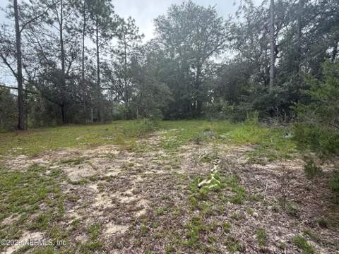 127 West Lake Drive, Hawthorne FL - photo 19 of 35