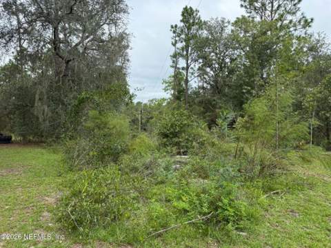 127 West Lake Drive, Hawthorne FL - photo 21 of 35