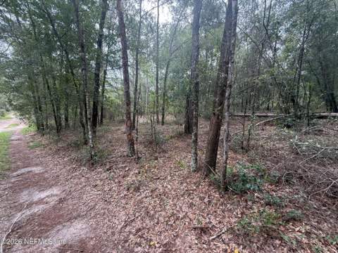 127 West Lake Drive, Hawthorne FL - photo 20 of 35
