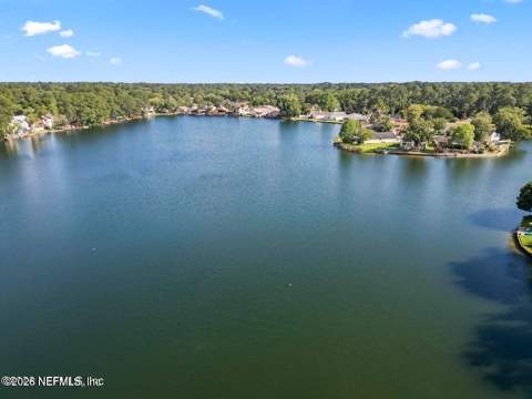 3520 Peerless Dock Court, Jacksonville FL - photo 6 of 43