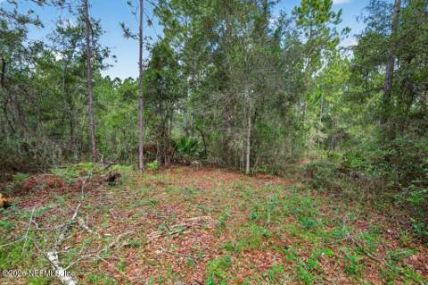 29233 Trails End Place, Hilliard FL - photo 24 of 51