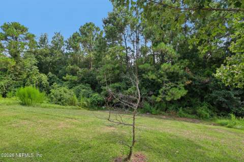 3508 Lawton Place, Green Cove Springs FL - photo 10 of 43
