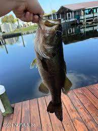 232 Sportsman Drive, Welaka FL - photo 24 of 25