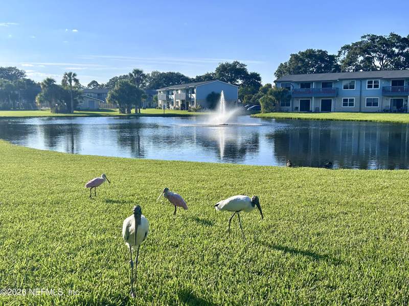 2 bedroom Condominium at 700 W Pope Road #G54, Coquina Condo, St. Augustine — photo 5
