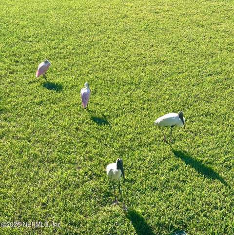 700 W Pope Road #G54, St. Augustine FL - photo 6 of 24