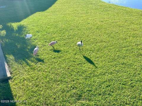 700 W Pope Road #G54, St. Augustine FL - photo 7 of 24
