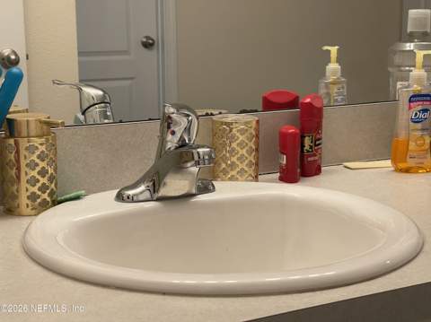 2587 Oak Stream Drive, Green Cove Springs FL - photo 19 of 45
