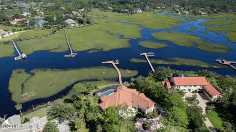 256 Deer Haven Drive, Ponte Vedra Beach FL - photo 16 of 98