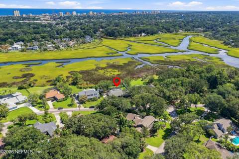 1431 Forest Marsh Drive, Neptune Beach FL - photo 8 of 65