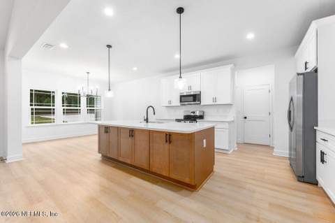 2168 Hibiscus Avenue, Middleburg FL - photo 8 of 24