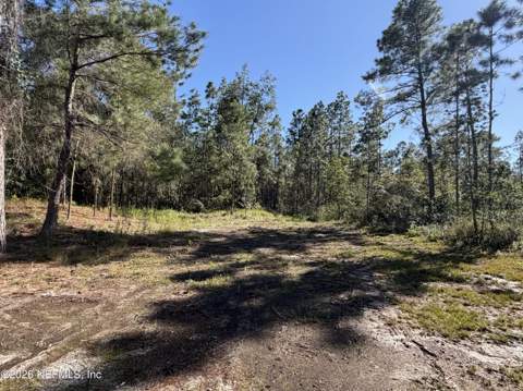 6049 Westwood Road, Maxville FL - photo 7 of 23