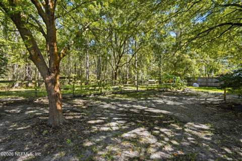 10255 Hamlet Glen Drive, Jacksonville FL - photo 6 of 44
