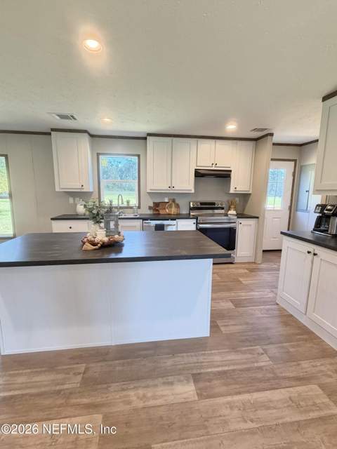 13203 SW 195th Avenue, Brooker FL - photo 21 of 45