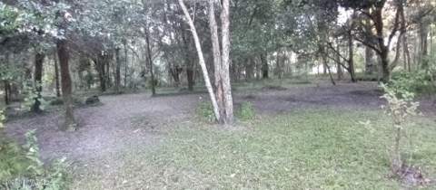 253 Smiley Store Road, Crescent City FL - photo 11 of 11