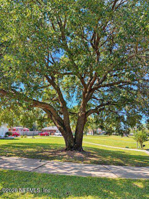 4171 Mail Coach Court, Middleburg FL - photo 20 of 43