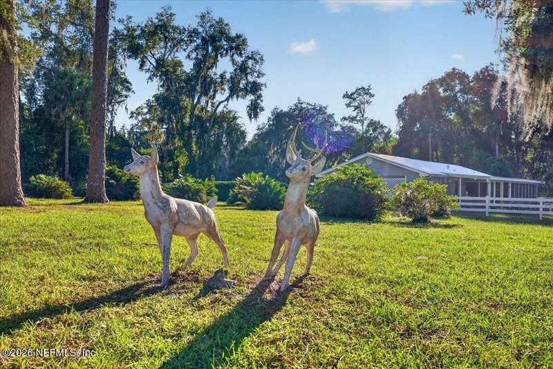 3 bedroom Single Family Residence at 102 Old Shell Harbor Road #-, Satsuma, Satsuma — photo 3