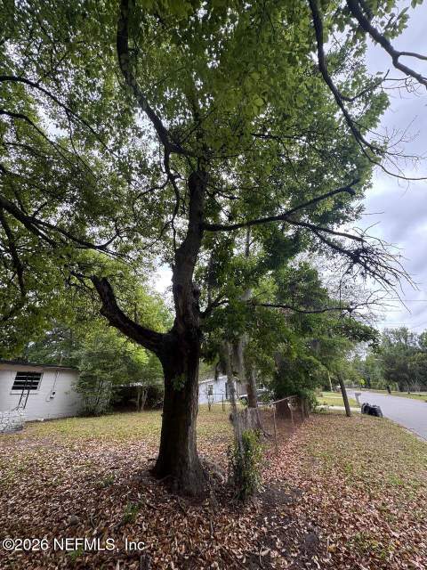 1727 Dibble Circle, Jacksonville FL - photo 11 of 52