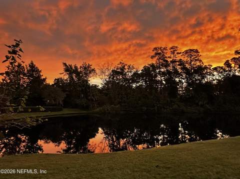 1239 Queens Island Court, Jacksonville FL - photo 7 of 10