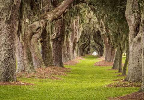 150 Salt Air Drive, St. Simons Island GA - photo 24 of 28