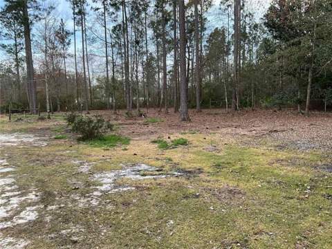 3210 Stoneback Street, Waycross GA - photo 17 of 17