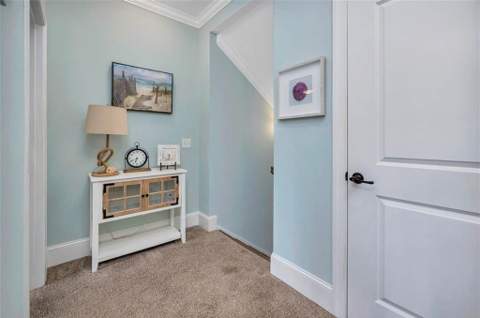 5 Caretta Lane, Jekyll Island GA - photo 23 of 45