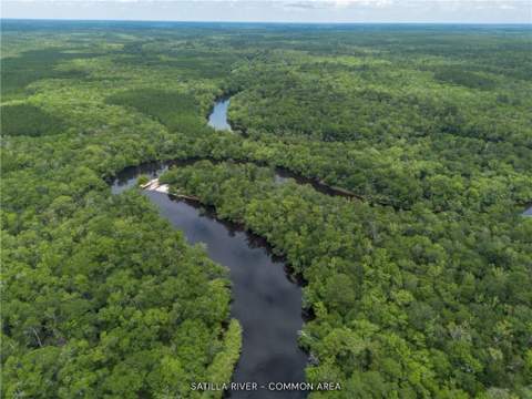 1360 Douglas Fish Camp Road, White Oak GA - photo 15 of 50