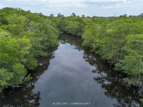 1360 Douglas Fish Camp Road, White Oak GA - photo 16 of 50