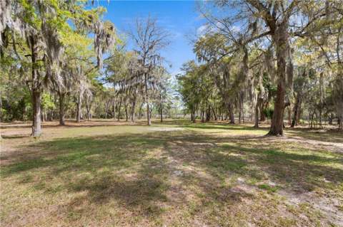 1225 Julienton Drive, Townsend GA - photo 19 of 41