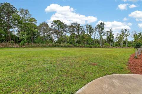211 Sanford Drive, Waverly GA - photo 17 of 64