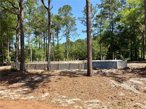 1499 Sapelo Park Drive, Townsend GA - photo 7 of 16