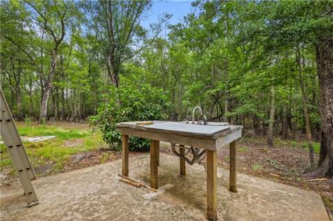 10 Cabin Road, Nahunta GA - photo 10 of 27
