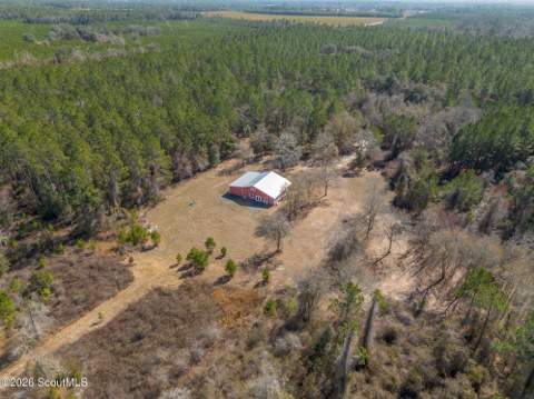 Tract 2 - 12321 Highway 185, Saint George GA - photo 8 of 30